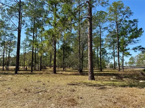 35135 Pinegate Trail Eustis FL 32736