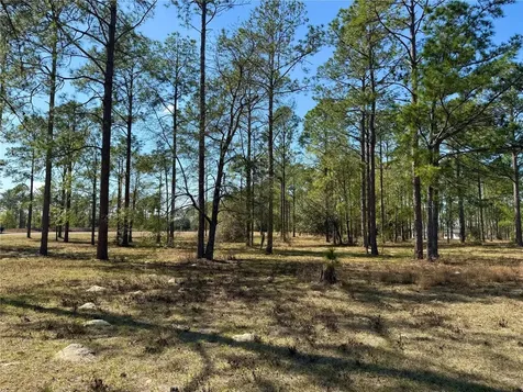 35135 Pinegate Trail Eustis FL 32736