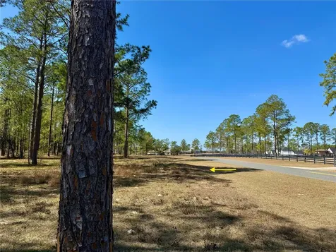 35135 Pinegate Trail Eustis FL 32736