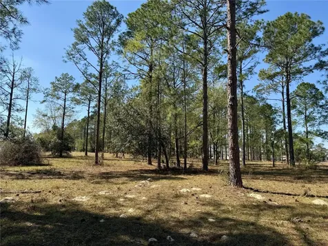 35135 Pinegate Trail Eustis FL 32736