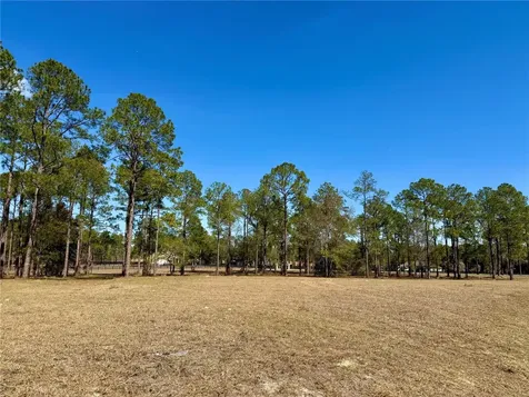 35135 Pinegate Trail Eustis FL 32736