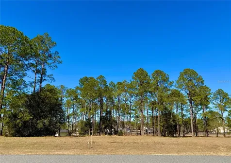 35135 Pinegate Trail Eustis FL 32736