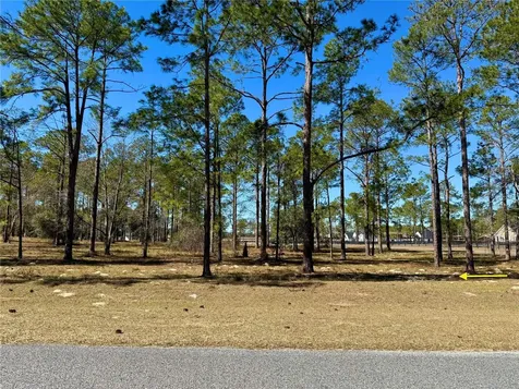 35135 Pinegate Trail Eustis FL 32736