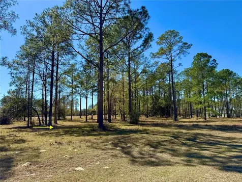 35135 Pinegate Trail Eustis FL 32736