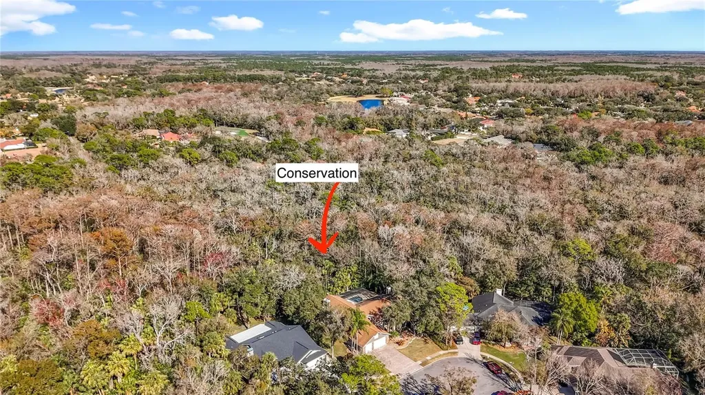 50 Willowood Lane Oldsmar FL 34677