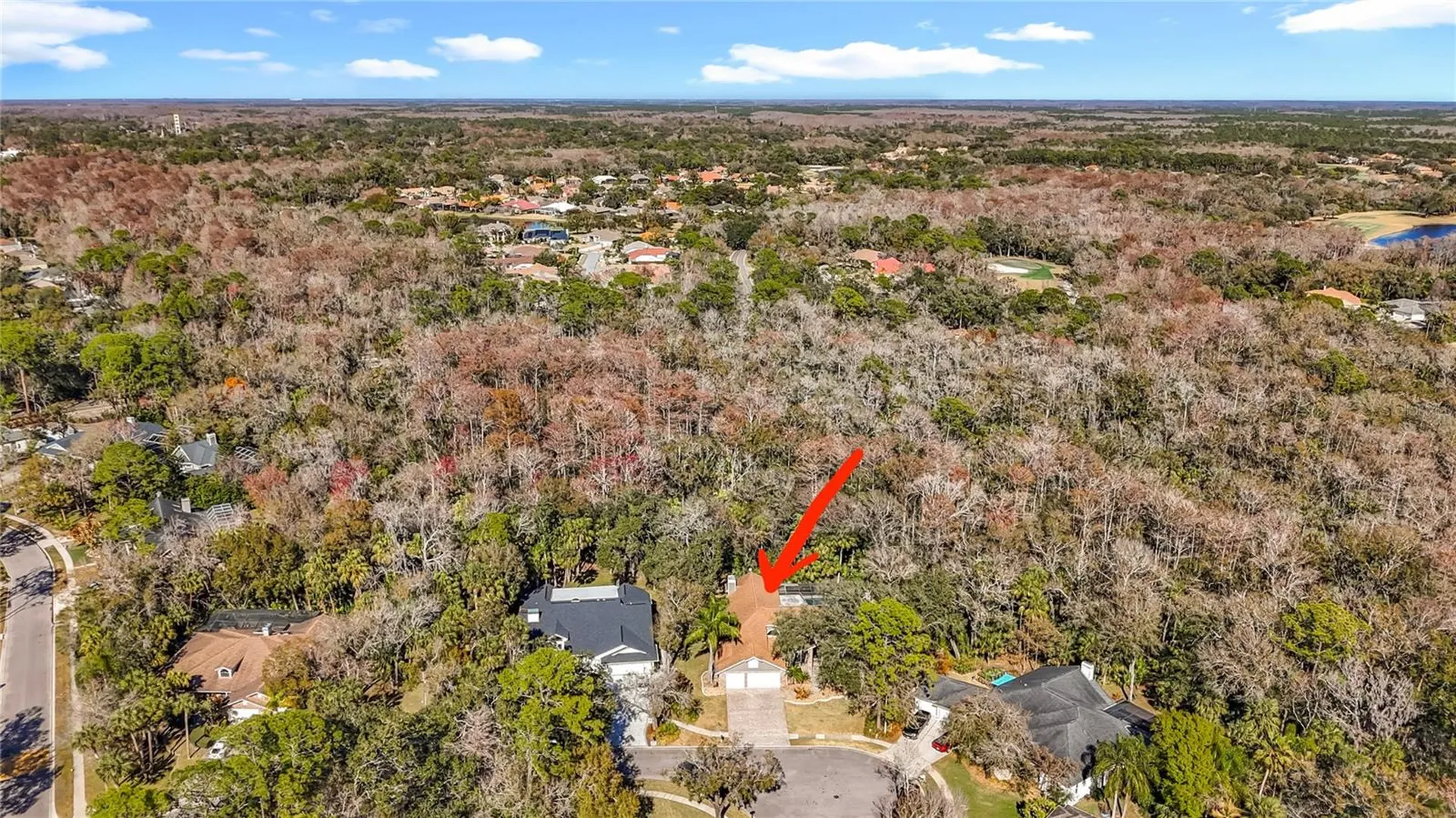 50 Willowood Lane Oldsmar FL 34677