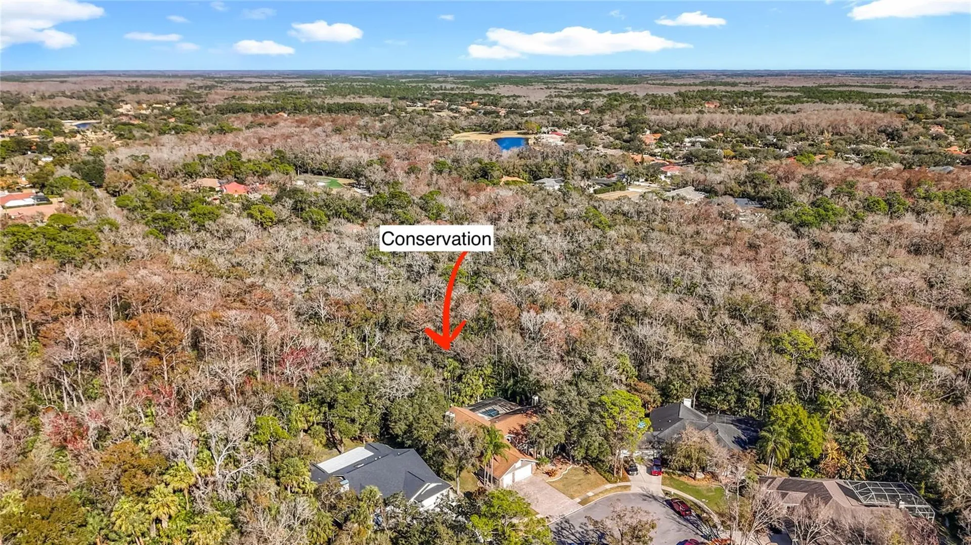 50 Willowood Lane Oldsmar FL 34677