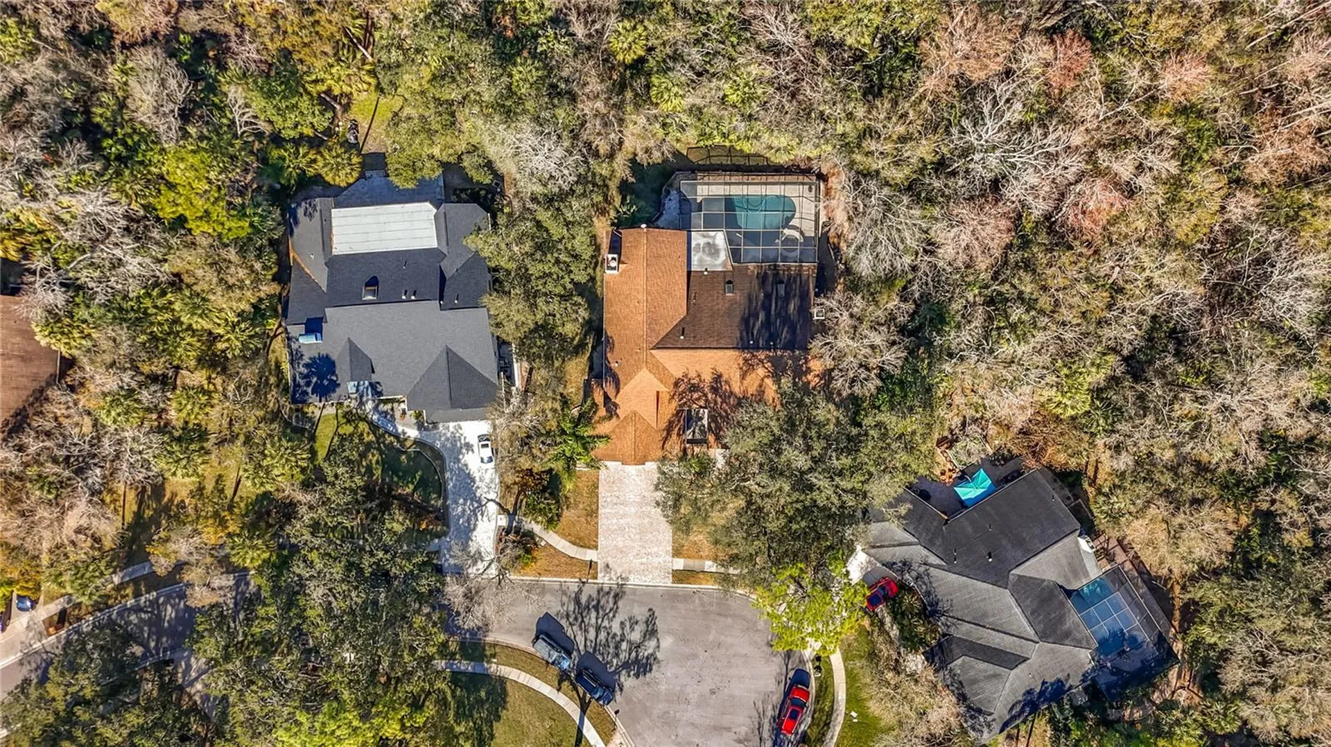 50 Willowood Lane Oldsmar FL 34677