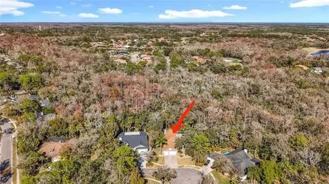 50 Willowood Lane Oldsmar FL 34677