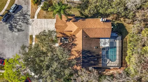 50 Willowood Lane Oldsmar FL 34677