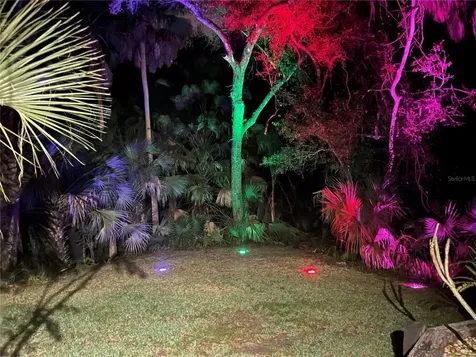 50 Willowood Lane Oldsmar FL 34677