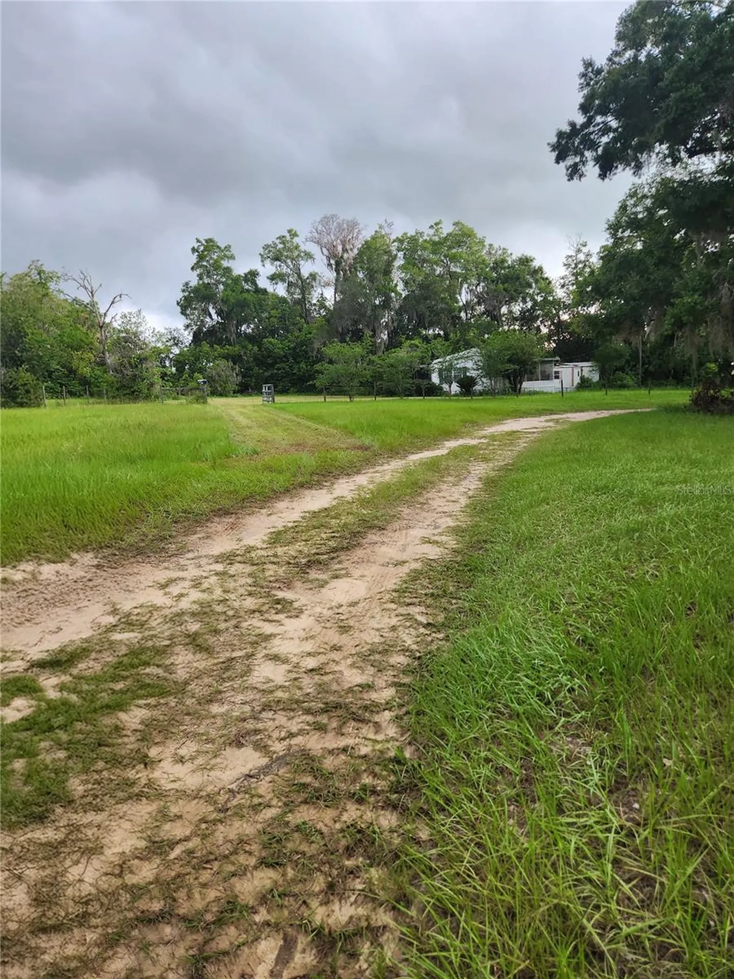 9228 NE Jacksonville Road Anthony FL 32617