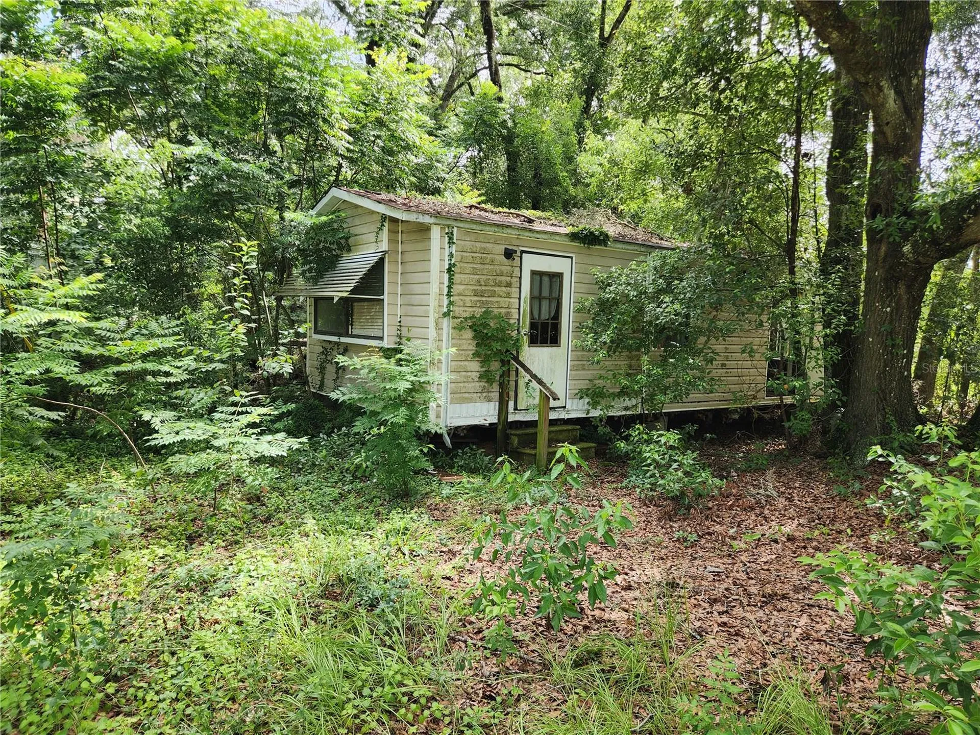 9228 NE Jacksonville Road Anthony FL 32617
