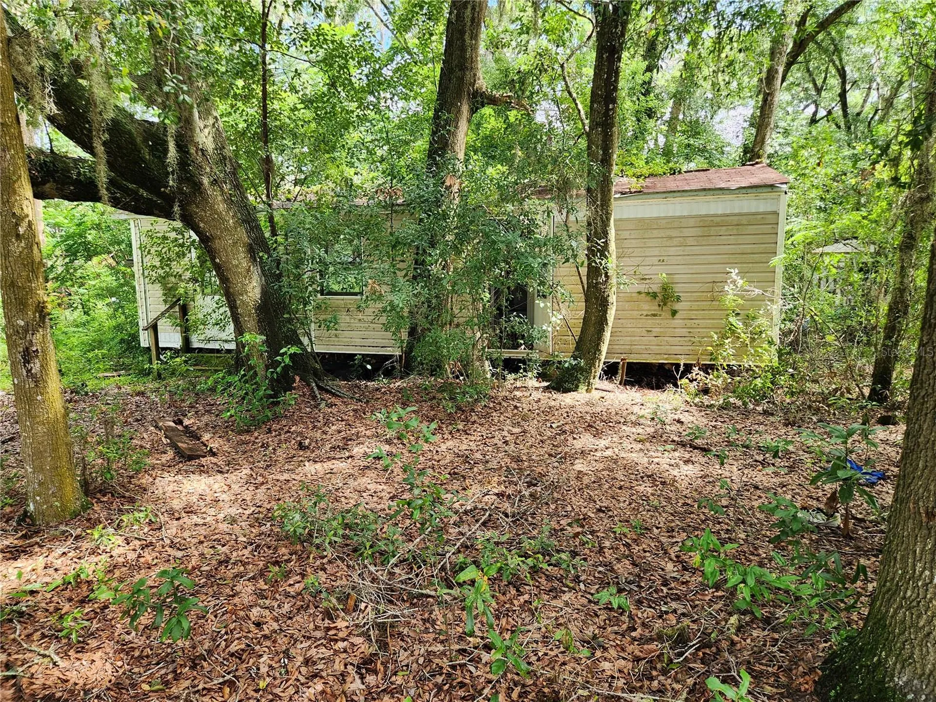 9228 NE Jacksonville Road Anthony FL 32617