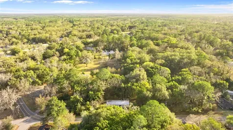 14139 NE 148th Avenue Waldo FL 32694