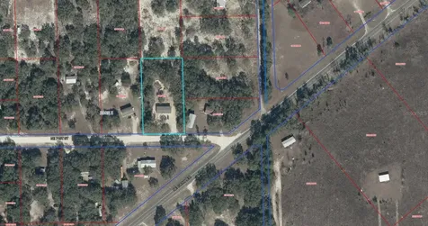 11431 NE 71st Street Bronson FL 32621