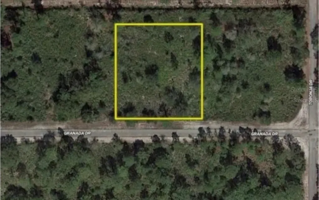 906 Granada Drive Indian Lake Estates FL 33855
