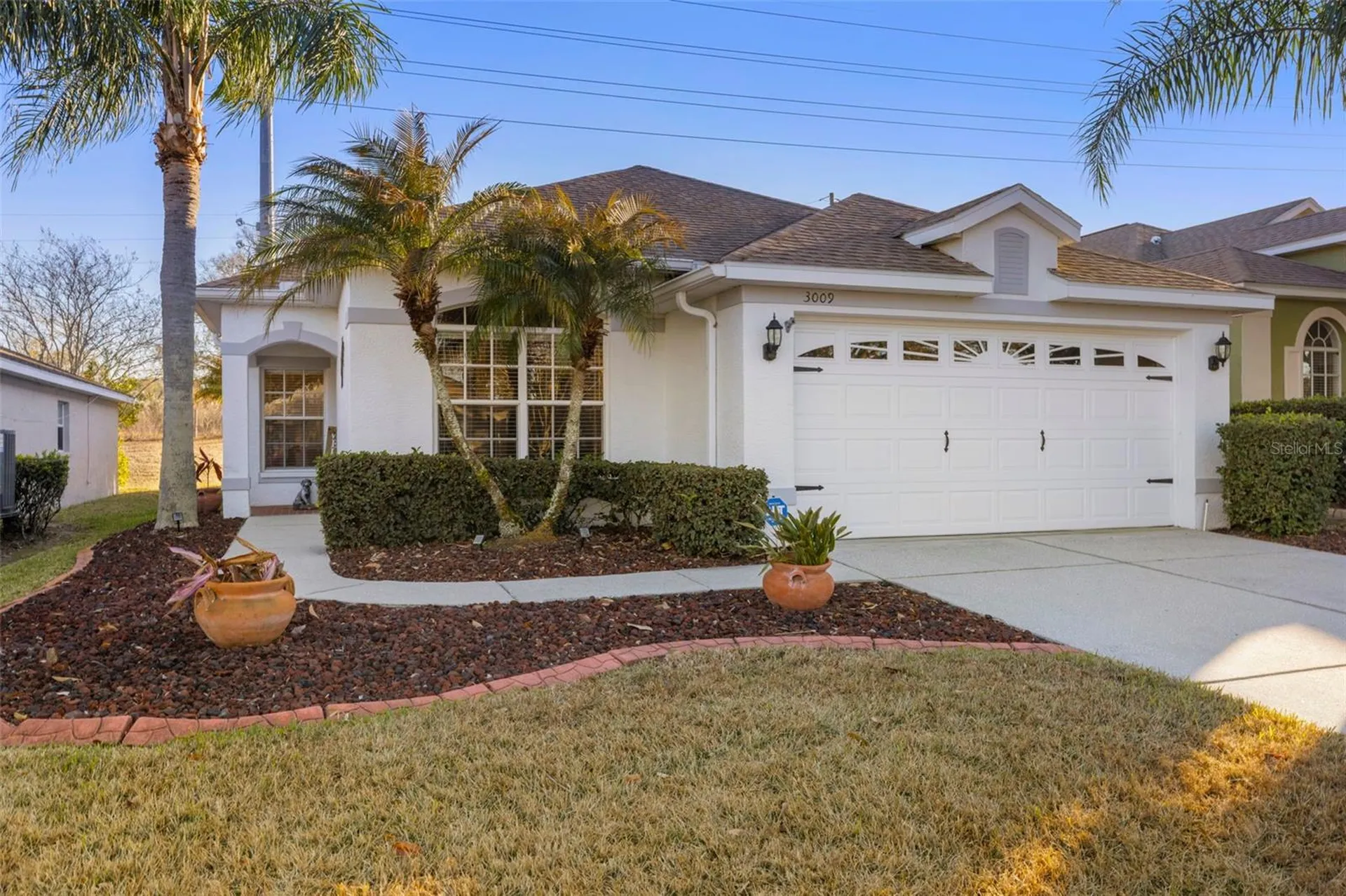 3009 Banyan Hill Lane Land O Lakes FL 34639