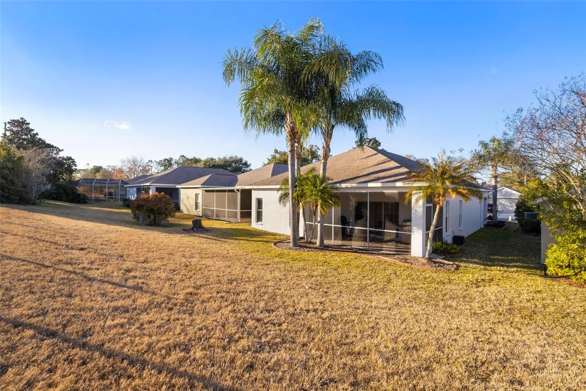 3009 Banyan Hill Lane Land O Lakes FL 34639