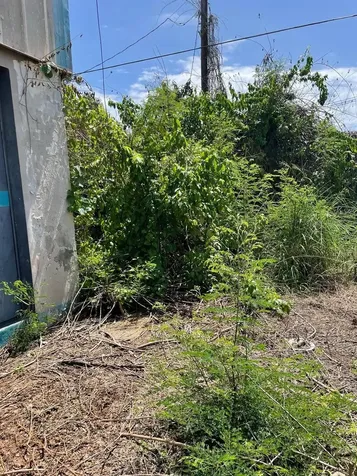 Calle Nazaret C-b3 Extension Santa Marla Ponce PR 00717