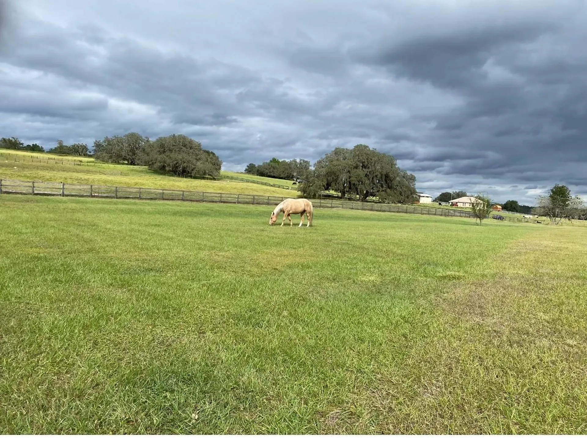 20832 Hunter Hill Drive Dade City FL 33523