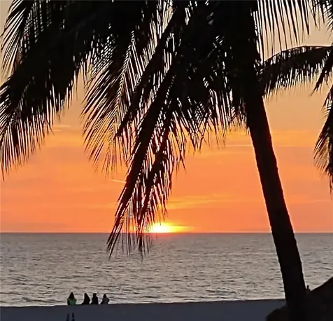 116 Avenida La Palma Nokomis FL 34275