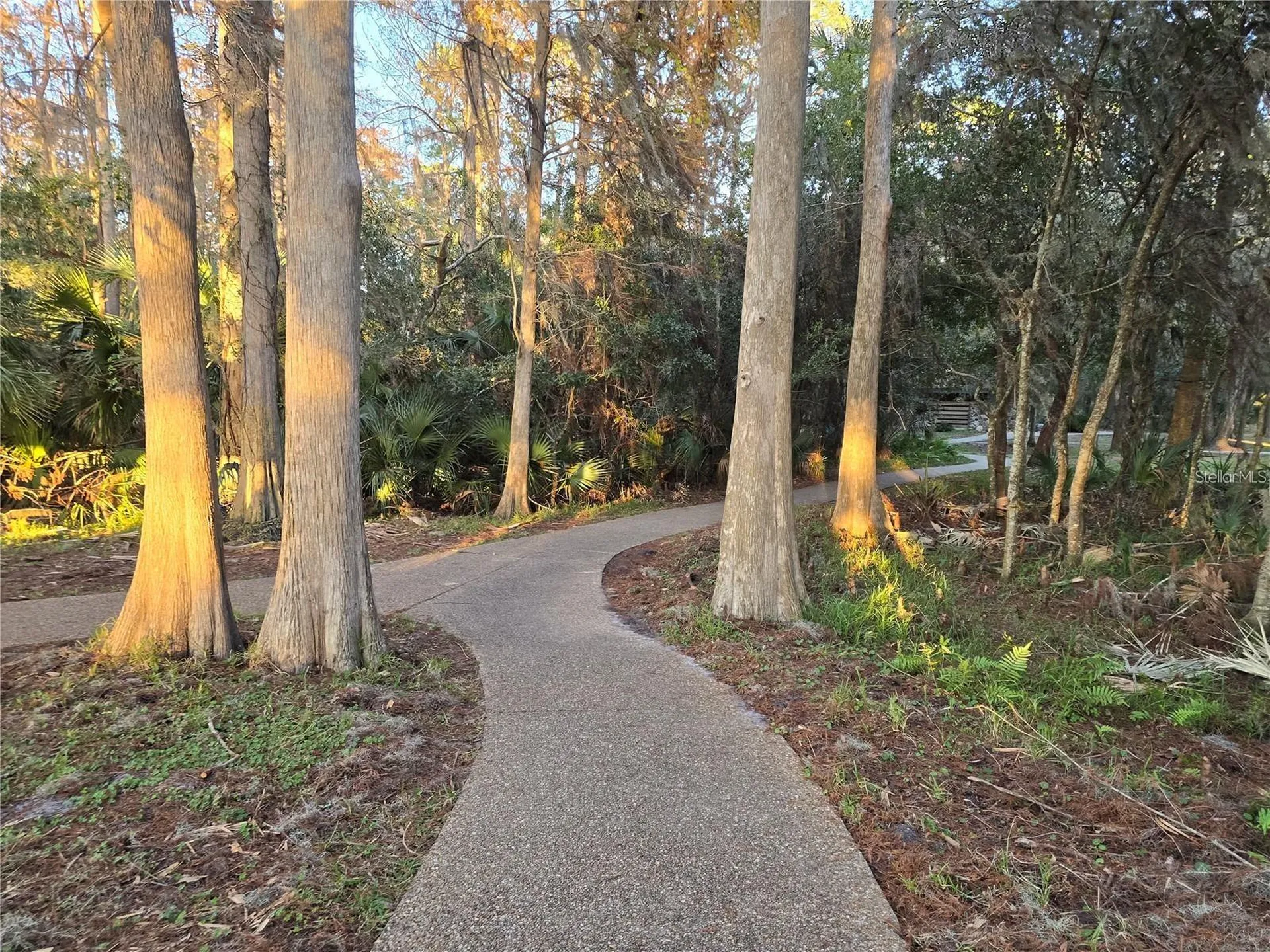 811 Helmsman Way Palm Harbor FL 34685
