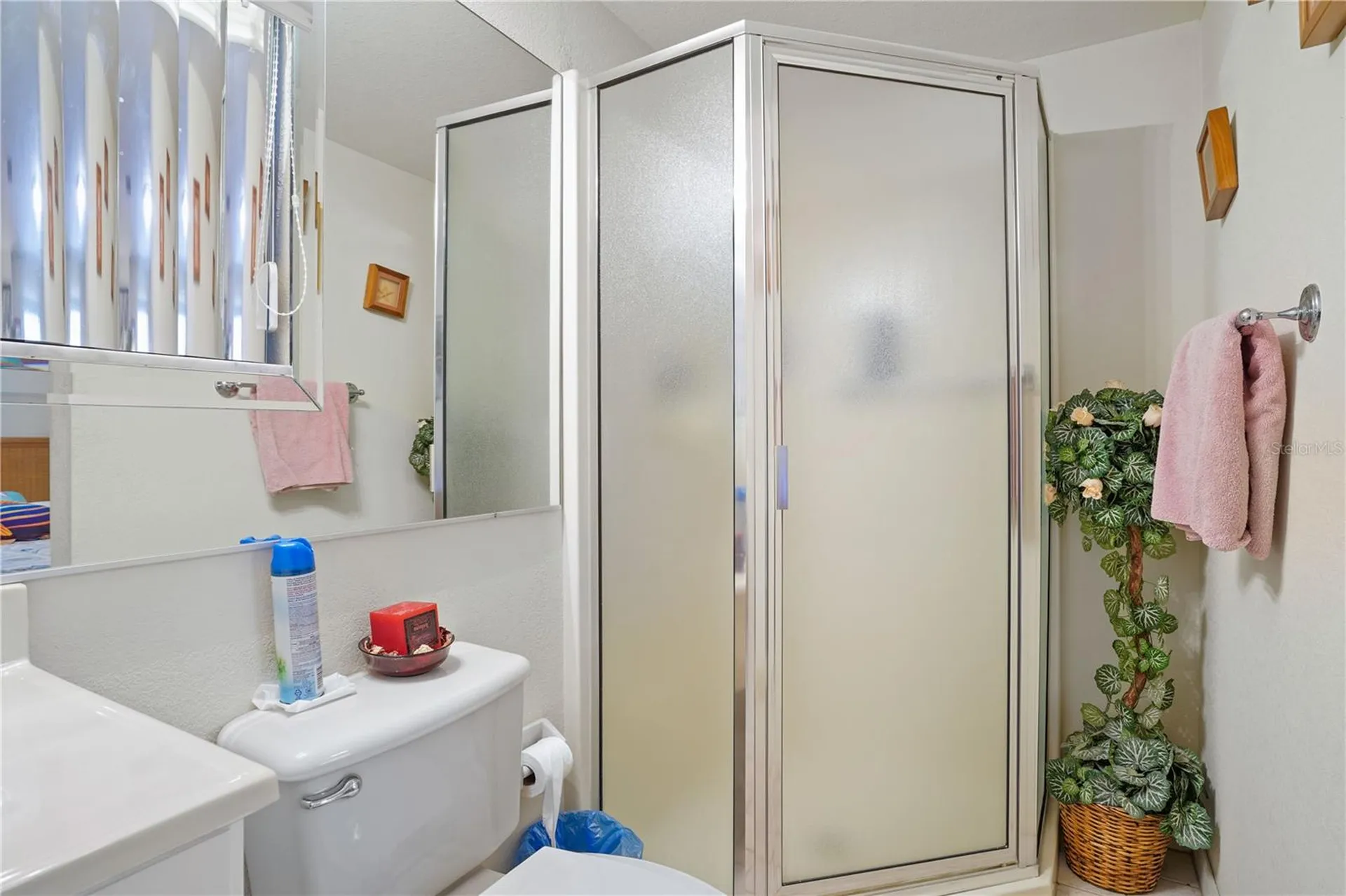 10745 SE 188th Court Ocklawaha FL 32179