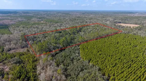 Tbd NE 25th Avenue Branford FL 32008