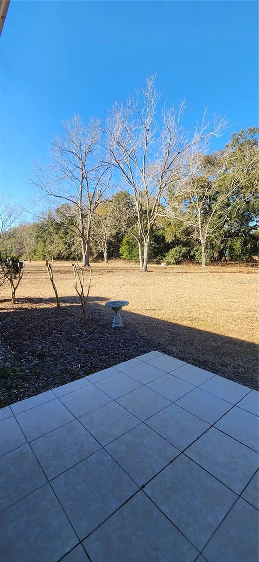 24077 NW 94th Avenue Alachua FL 32615
