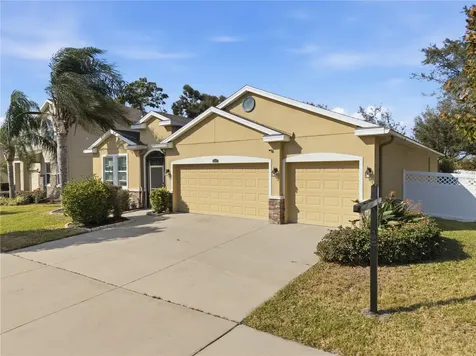 10420 Pleasant Spring Way Riverview FL 33578