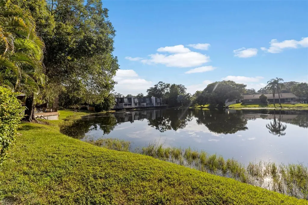 10423 Carrollbrook Circle Tampa FL 33618