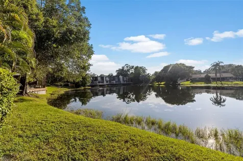 10423 Carrollbrook Circle Tampa FL 33618