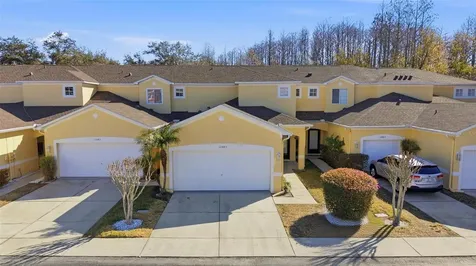 11005 Blaine Top Place Tampa FL 33626