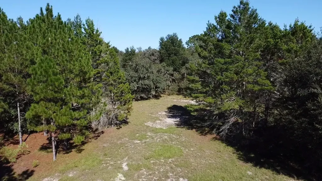 SW 70th Terrace Bushnell FL 33513