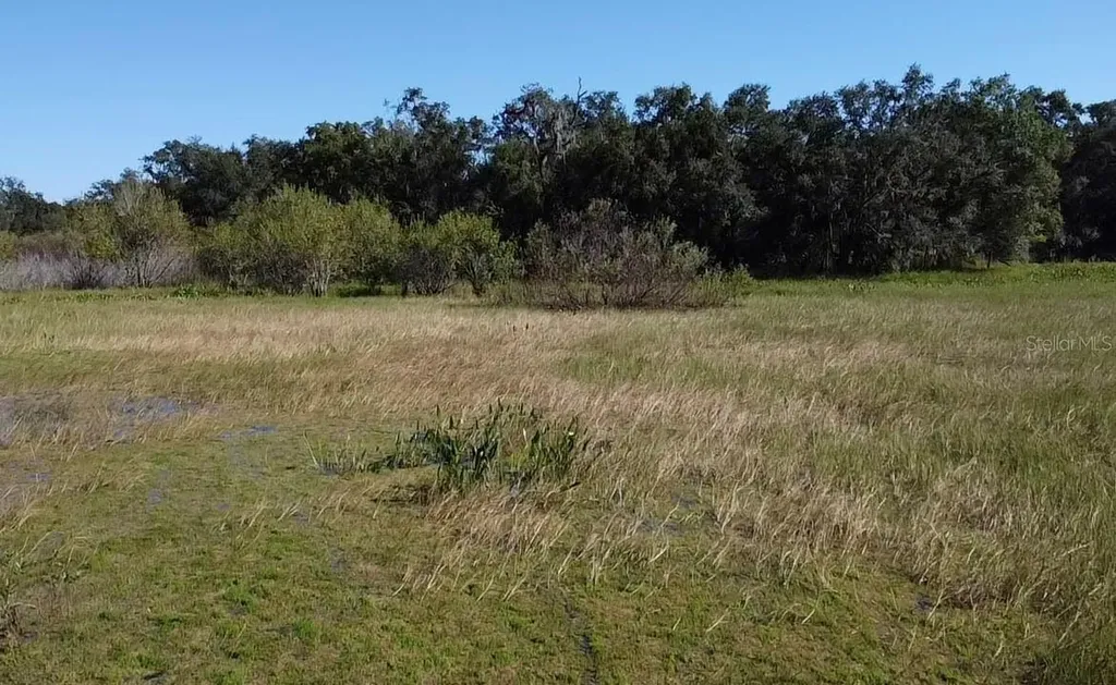 SW 70th Terrace Bushnell FL 33513
