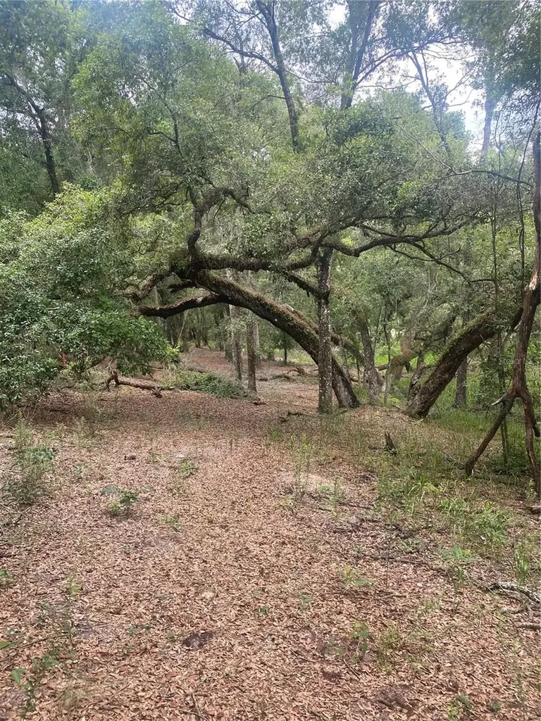 SW 70th Terrace Bushnell FL 33513