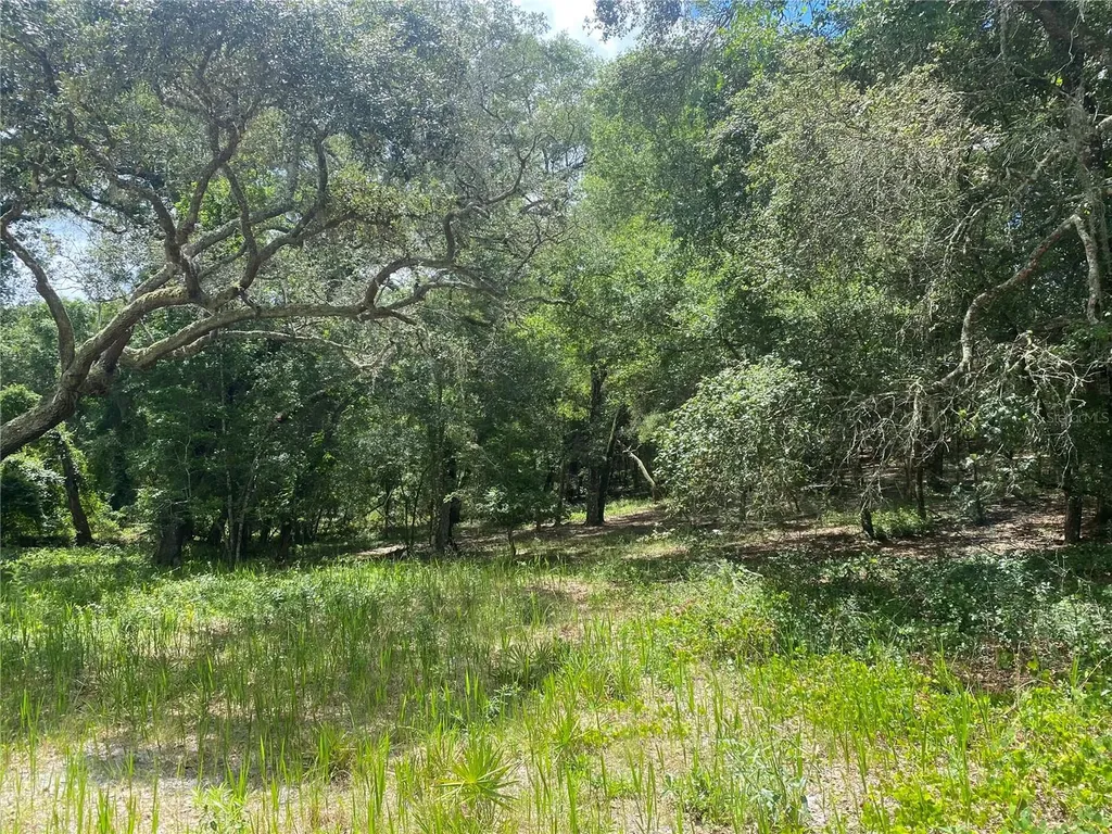 SW 70th Terrace Bushnell FL 33513