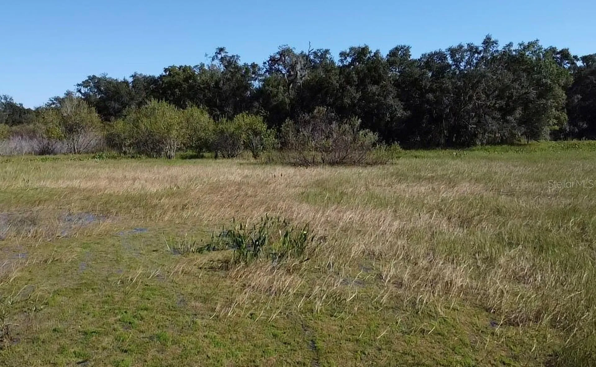 SW 70th Terrace Bushnell FL 33513