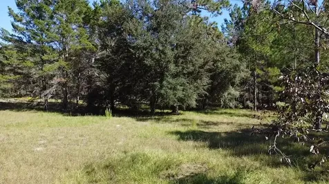 SW 70th Terrace Bushnell FL 33513