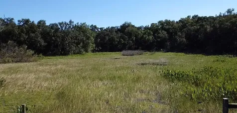 SW 70th Terrace Bushnell FL 33513