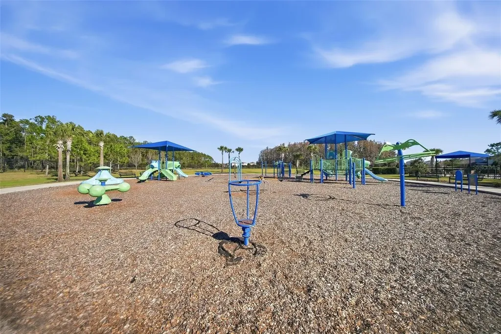 32306 Garden Alcove Loop Wesley Chapel FL 33545