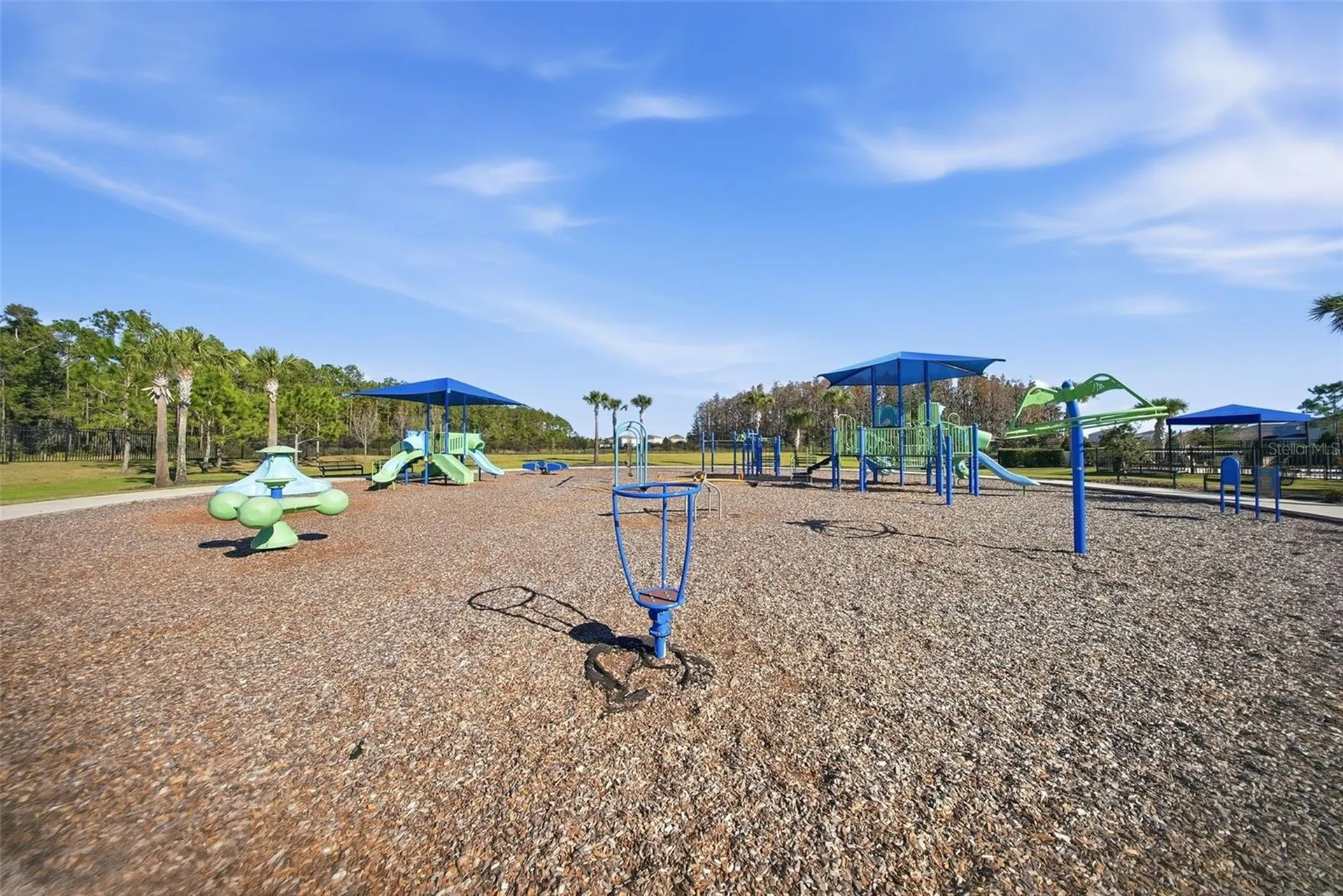 32306 Garden Alcove Loop Wesley Chapel FL 33545