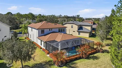 32306 Garden Alcove Loop Wesley Chapel FL 33545