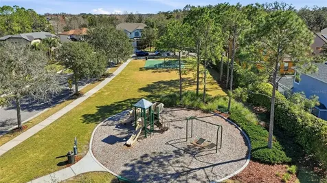32306 Garden Alcove Loop Wesley Chapel FL 33545