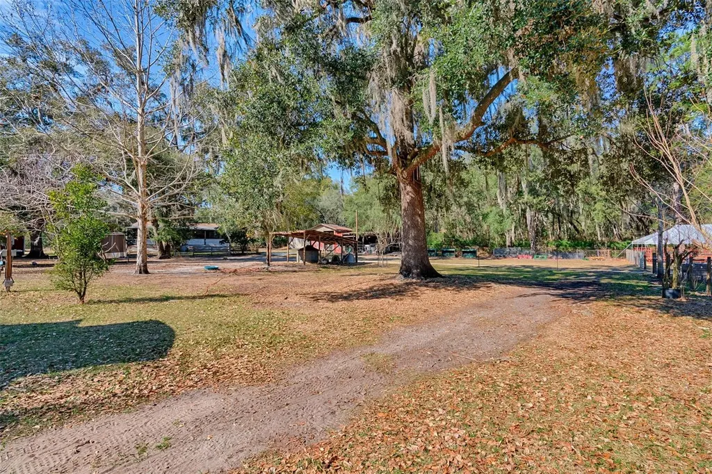 1208 N County Road 315 Melrose FL 32666