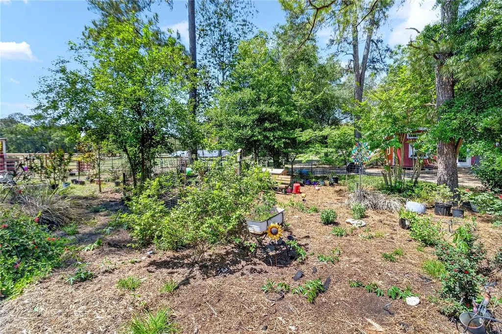 1208 N County Road 315 Melrose FL 32666