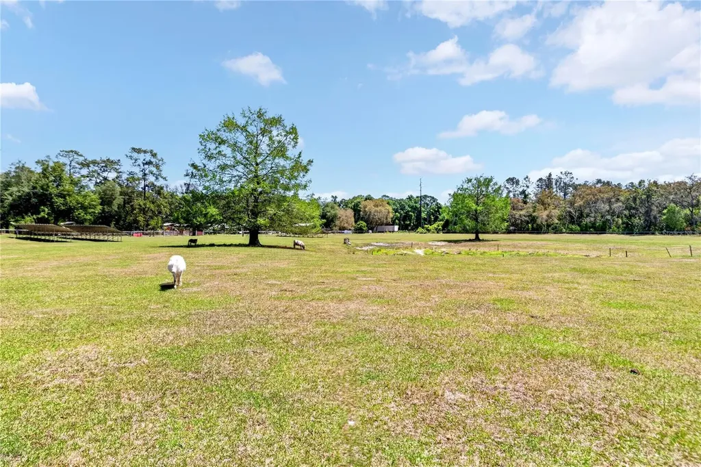 1208 N County Road 315 Melrose FL 32666