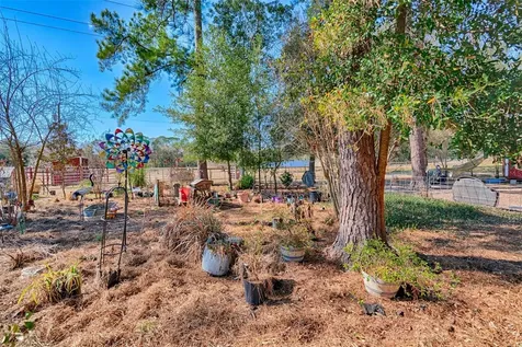 1208 N County Road 315 Melrose FL 32666