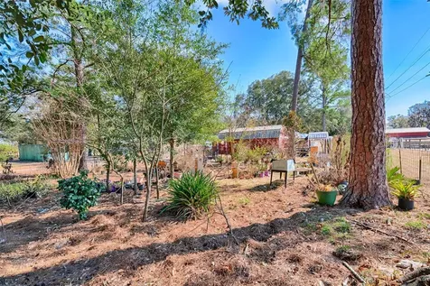 1208 N County Road 315 Melrose FL 32666